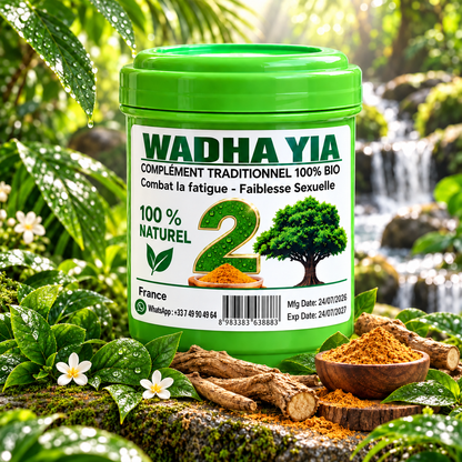 Wadha Yia 2